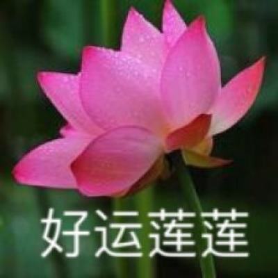 华体体育app官网入口